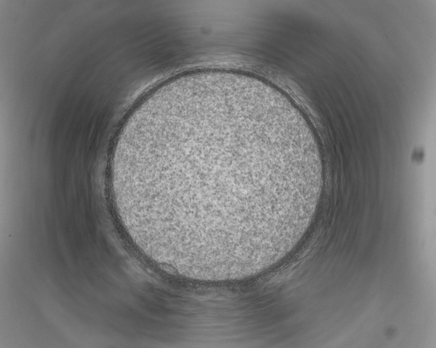 X0000116780434201001281657