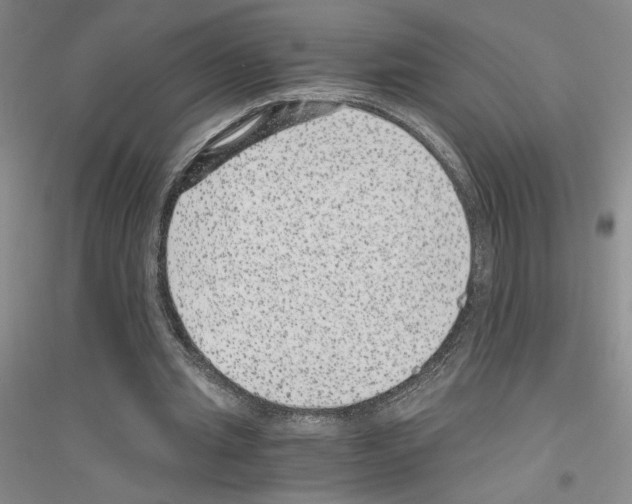 X0000116780437201001281657