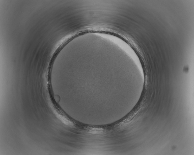 X0000116780438201001281657