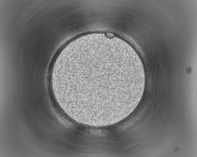 X0000116780439201001281657