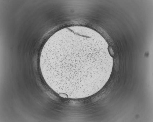 X0000116780442201001281657