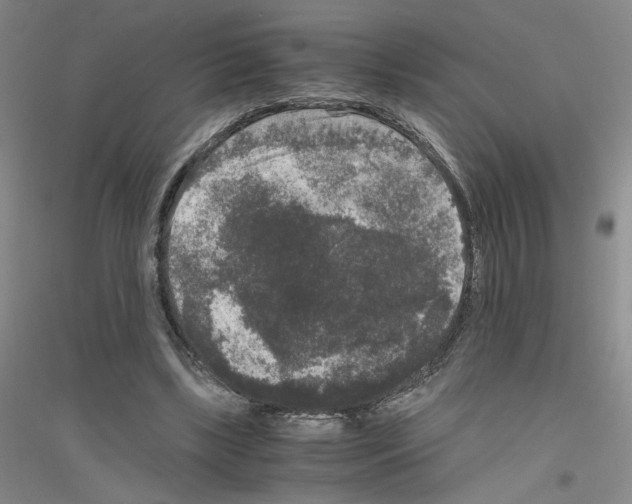 X0000116780443201001281657