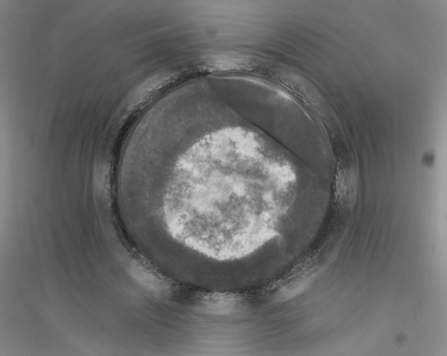 X0000116780444201001281657