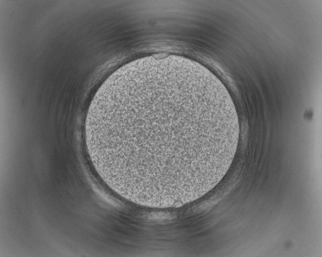 X0000116780445201001281657