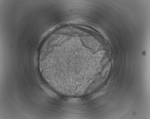 X0000116780446201001281657