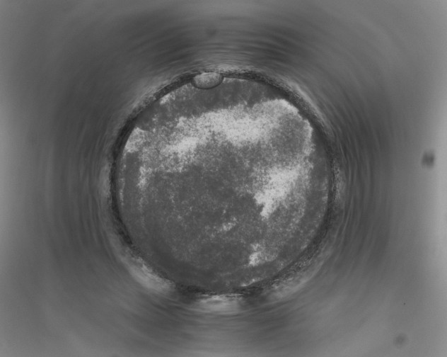 X0000116780447201001281657