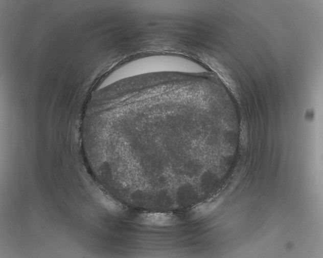 X0000116780449201001281657