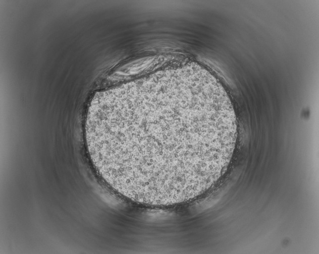 X0000116780453201001281657