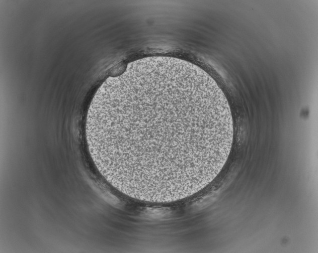 X0000116780455201001281657