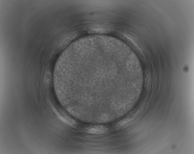 X0000116780459201001281657