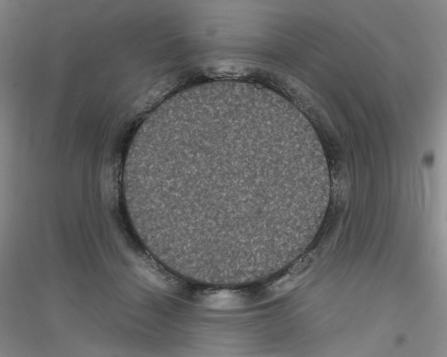 X0000116780460201001281657