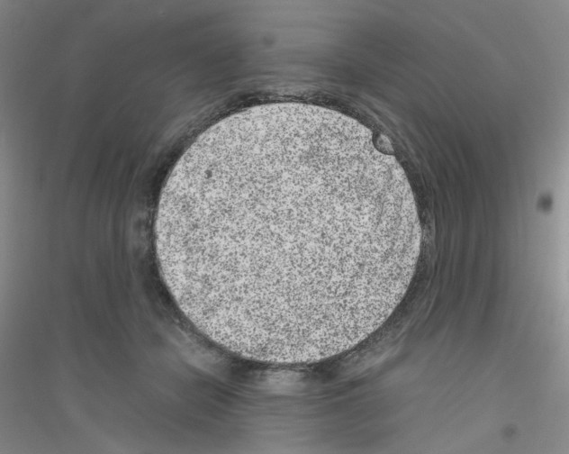 X0000116780462201001281657