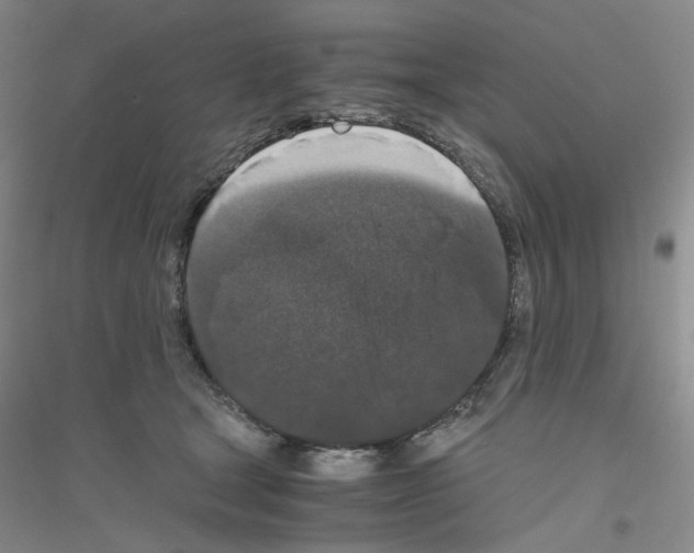 X0000116780465201001281658