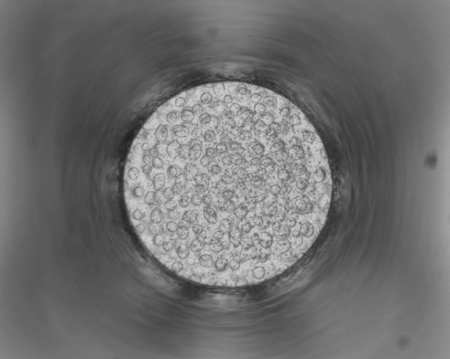 X0000116780466201001281658