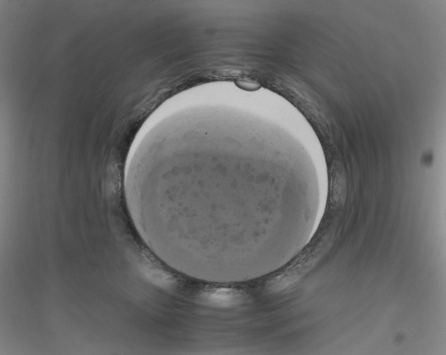 X0000116780467201001281658