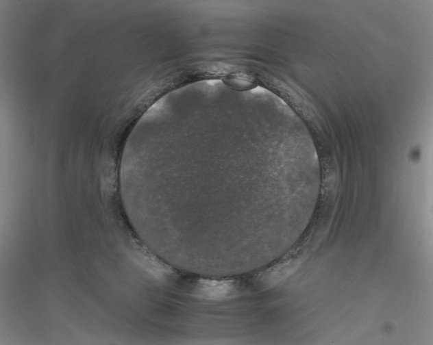 X0000116780469201001281658