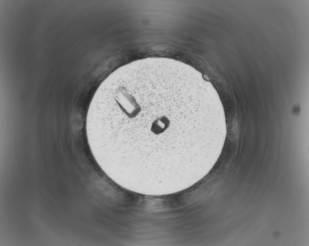 X0000116780472201001281658