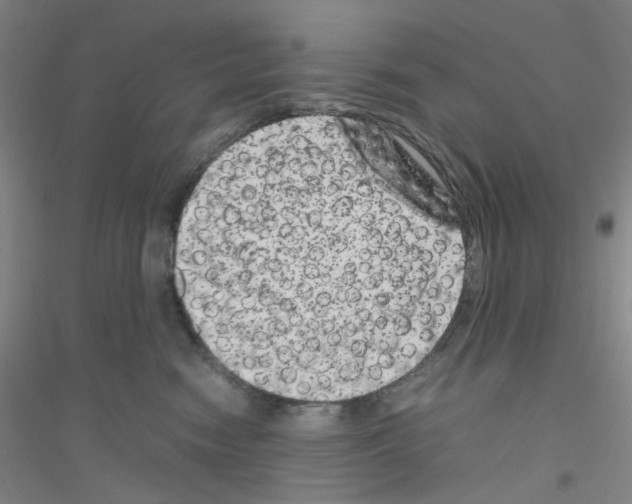 X0000116780474201001281658