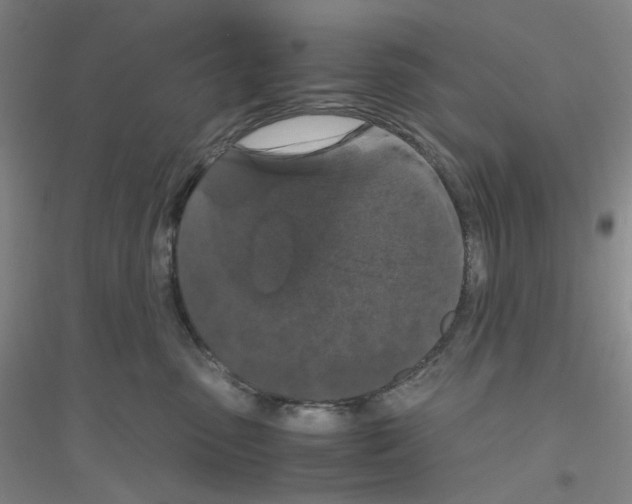 X0000116780475201001281658