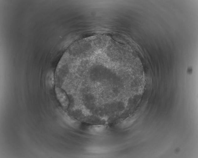 X0000116780479201001281658