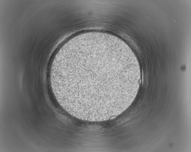 X0000116780483201001281657