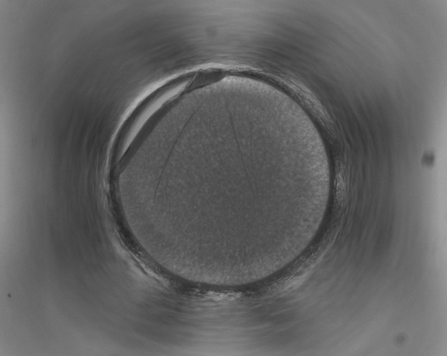 X0000116780484201001281657