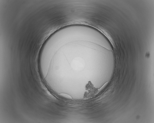 X0000116780485201001281657