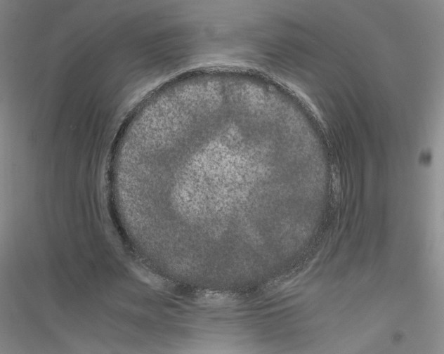 X0000116780487201001281657