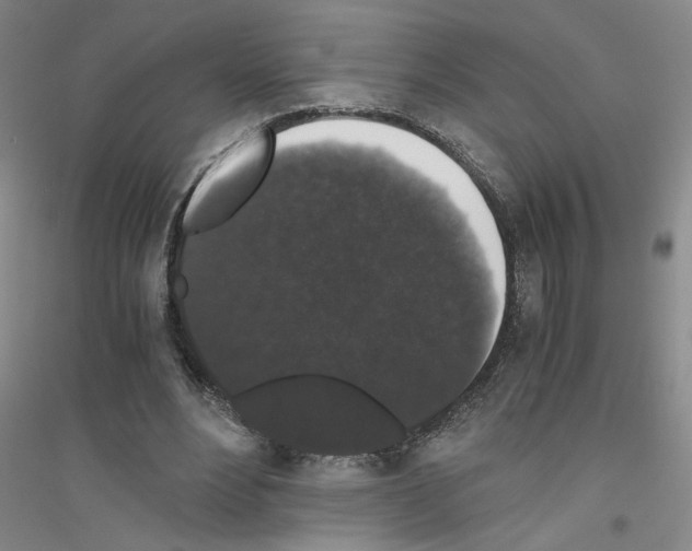 X0000116780488201001281657