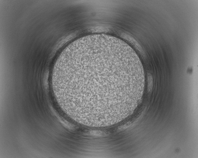 X0000116780490201001281657