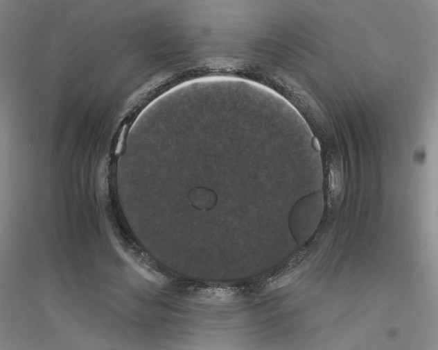 X0000116780492201001281657