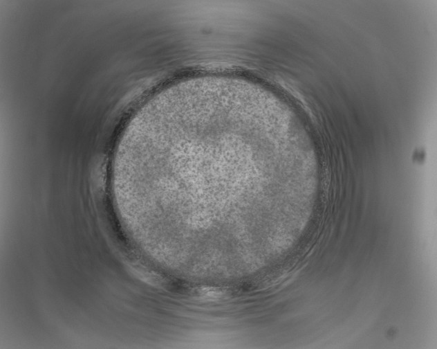 X0000116780495201001281657