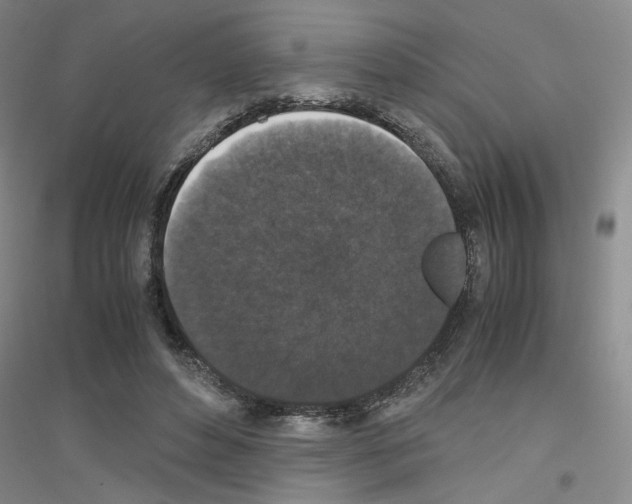 X0000116780496201001281657