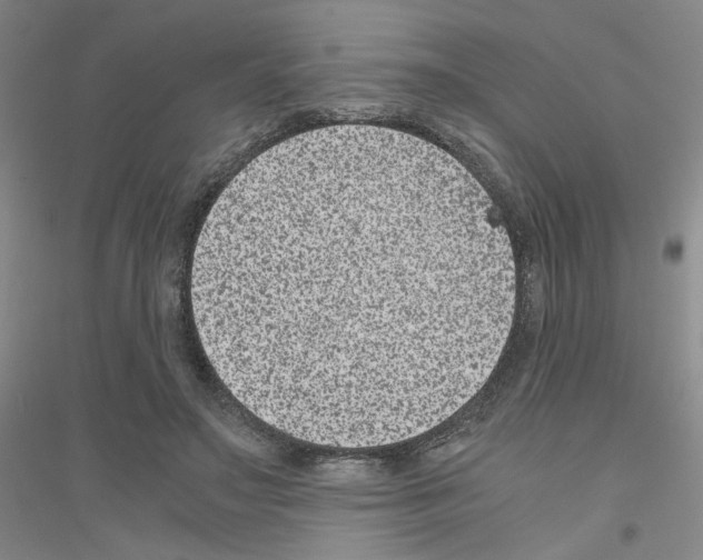 X0000116780499201001281657