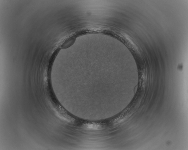 X0000116780500201001281657