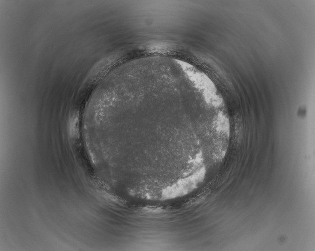 X0000116780502201001281657