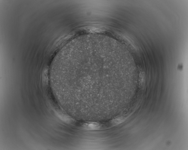 X0000116780506201001281657