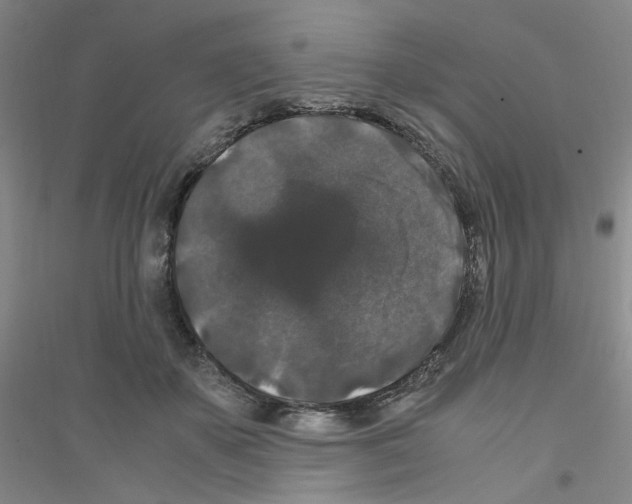 X0000116780507201001281657