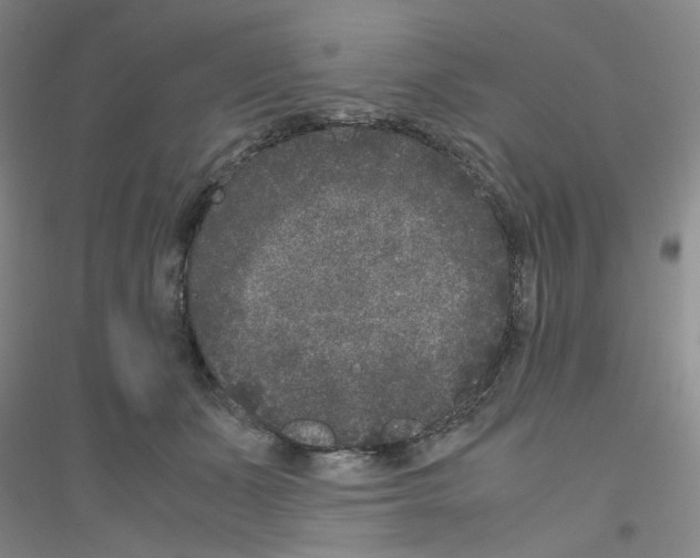 X0000116780511201001281657