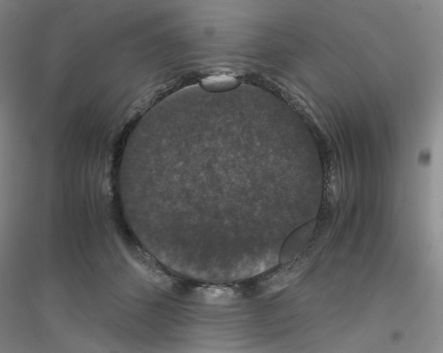 X0000116780512201001281657