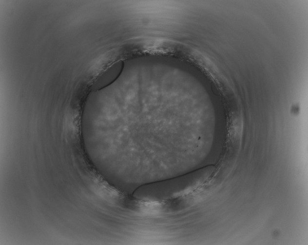 X0000116780513201001281657