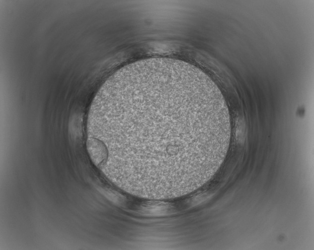 X0000116780514201001281657