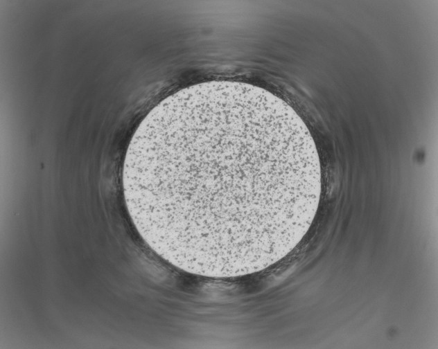 X0000116780515201001281657