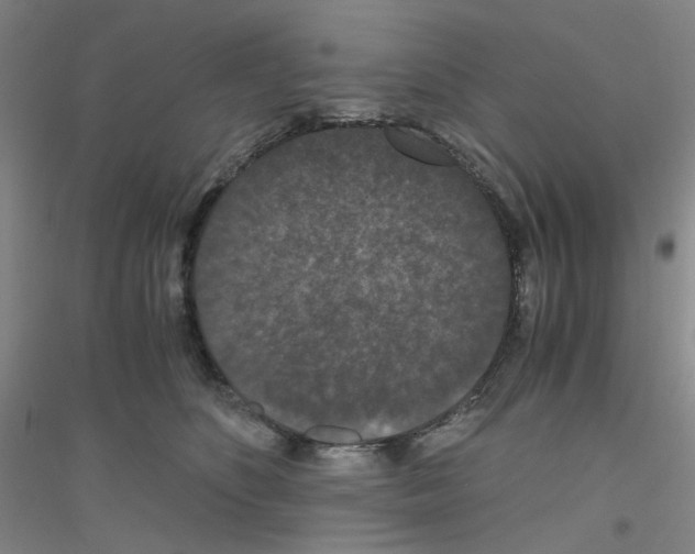 X0000116780516201001281657