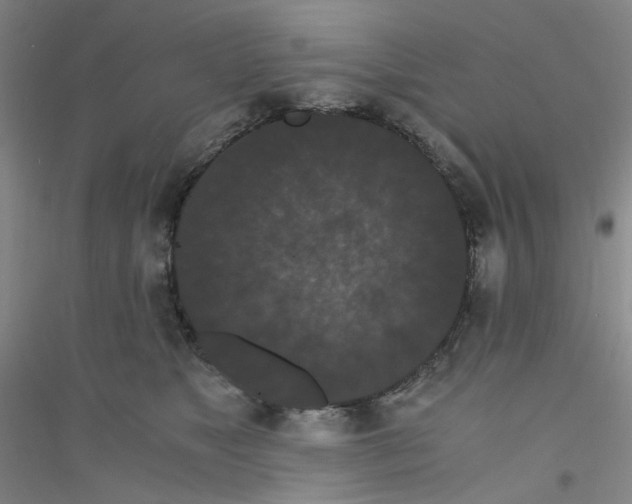 X0000116780517201001281657