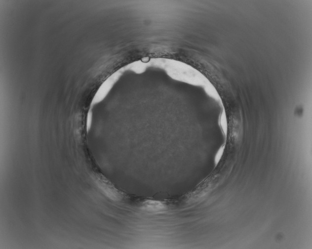 X0000116780519201001281657