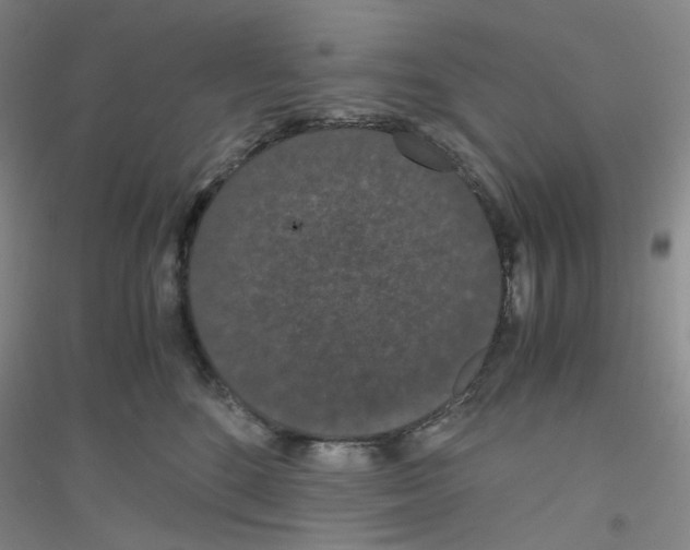 X0000116780520201001281657