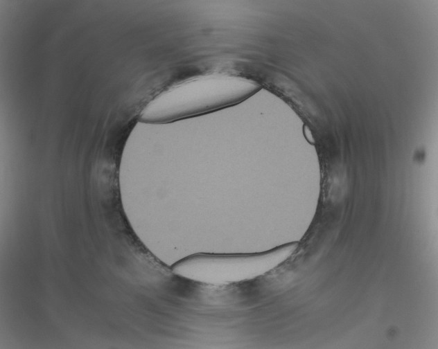 X0000116780521201001281657