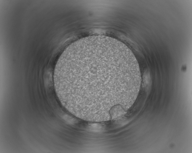 X0000116780522201001281657