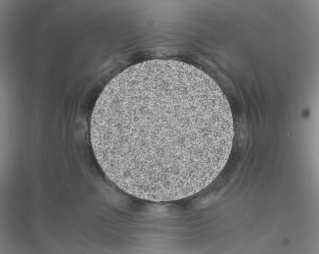 X0000116780523201001281657